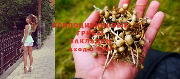 гашишное масло Беломорск