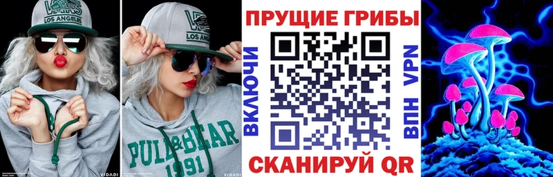 продажа наркотиков  Велиж  Псилоцибиновые грибы Magic Shrooms 