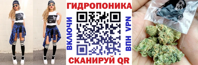 Шишки марихуана планчик  купить  сайты  Велиж 